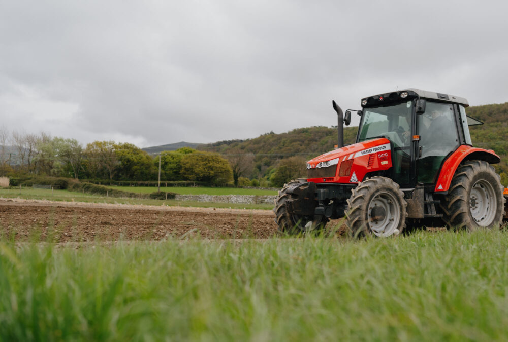 Study reveals severe post-Brexit reduction in lending to SMEs in rural areas 