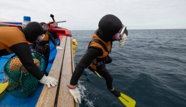The all-female free divers of Jeju Island have a 'superpower' in their genes : Shots