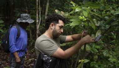 What would happen if the Amazon rainforest dried out? This decades-long experiment has some answers