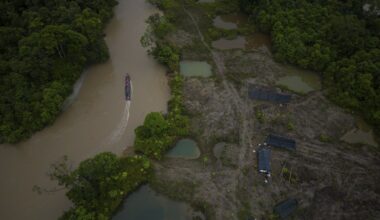 Colombia lost huge area to deforestation in 6 months, public watchdog report warns