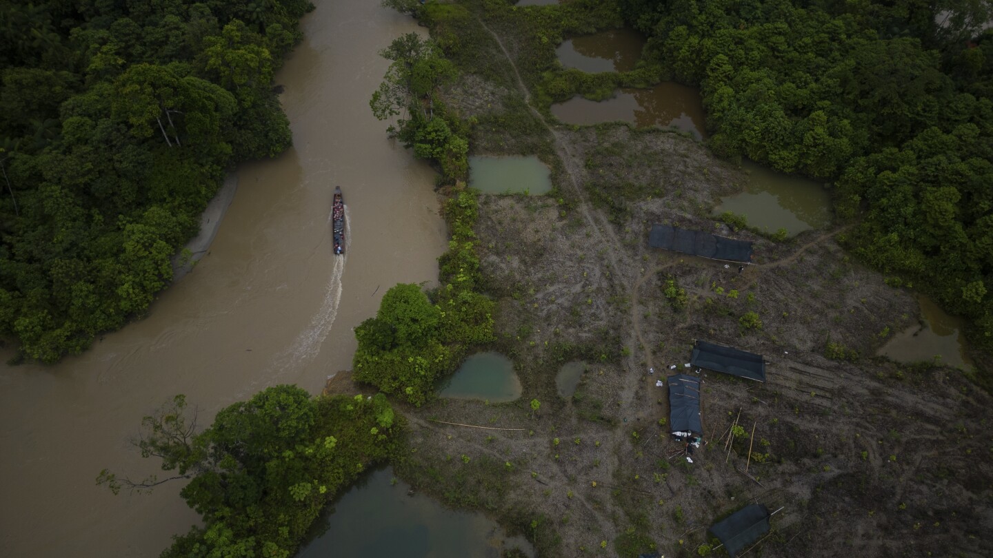 Colombia lost huge area to deforestation in 6 months, public watchdog report warns