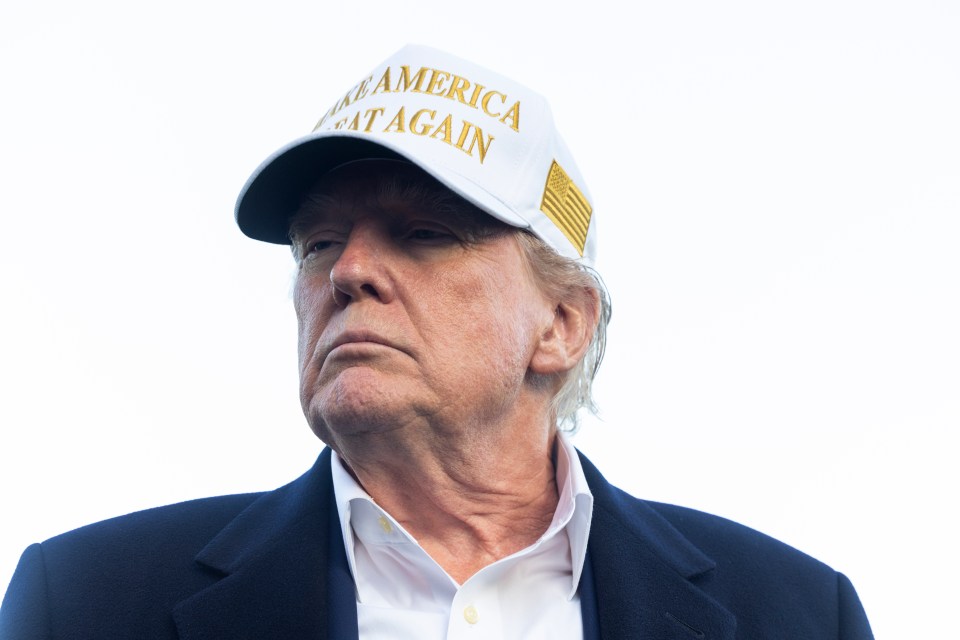 Donald Trump wearing a "Make America Great Again" hat.