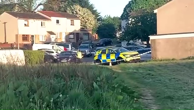 Police car at the scene of a torched van.