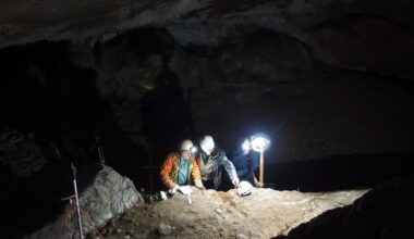 Humans in Spain revealed to have been making tools from whale bones 20,000 years ago