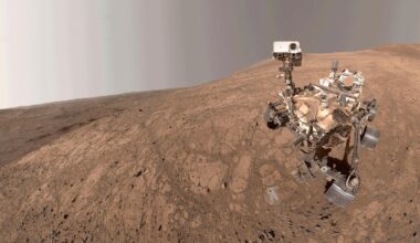 NASA's Mars Perseverance snaps selfie as Martian dust devil blows by