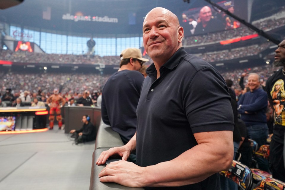 Dana White will hope to replicate his UFC success in the world of boxing