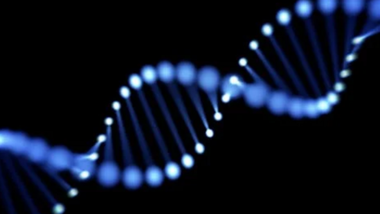 Spoan syndrome is a genetic mutation that progressively weakens the nervous system.(Pexel)