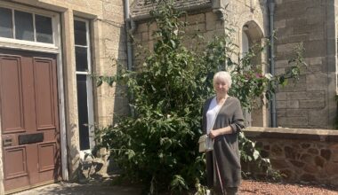 Gran says council has robbed husband of final years joy 