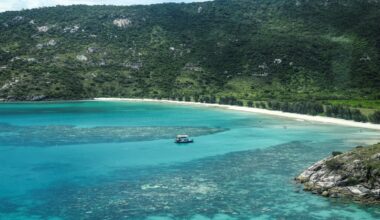 Frozen coral throws lifeline for Great Barrier Reef