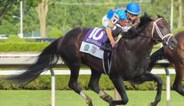 Mindframe edges stablemate Fierceness for top spot
