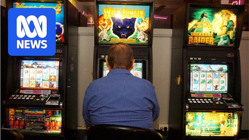 NSW failing to reduce gambling harm from pokies, auditor-general's report shows