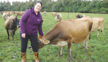 Future-focused animal evaluation to drive genetic gains in NZ dairy sector