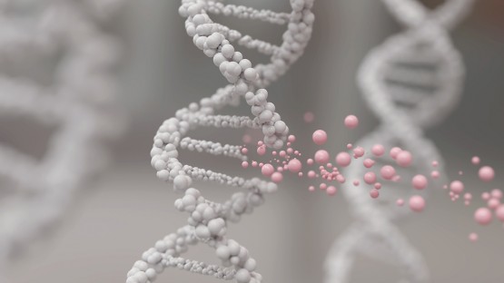 Study provides new insights into genetic complexity of metastasis