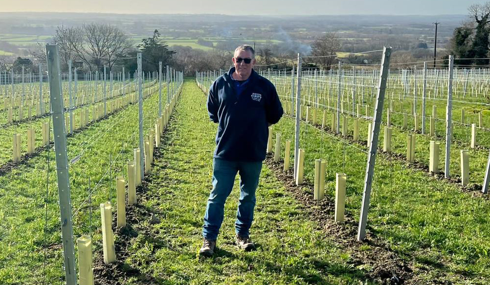 David Catt in vineyard