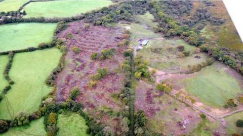 Gower Society Aerial shot of woodland with a huge number of trees chopped down, piles are visible stacked up and there are very few trees still standing. 