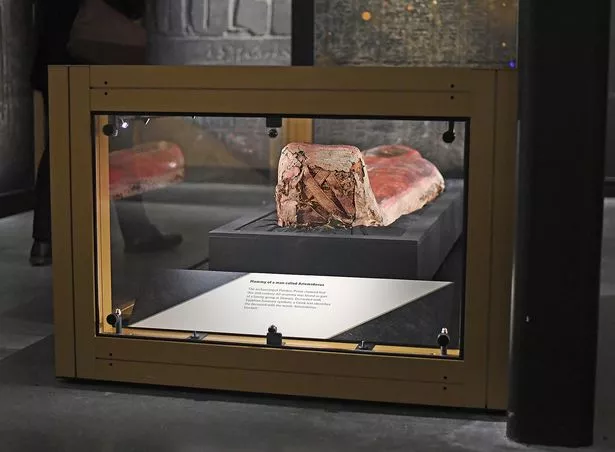 The Manchester Museum contains a number of mummified remains on display