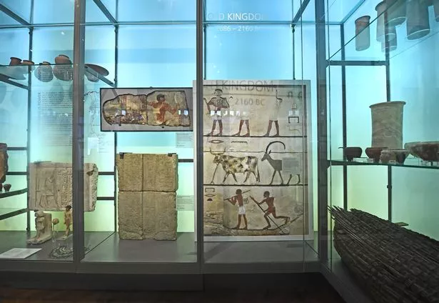 Displays at the Manchester Museum