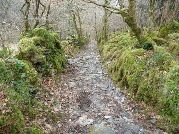 A section of the Sarn Helen Roman road near Betws-y-Coed