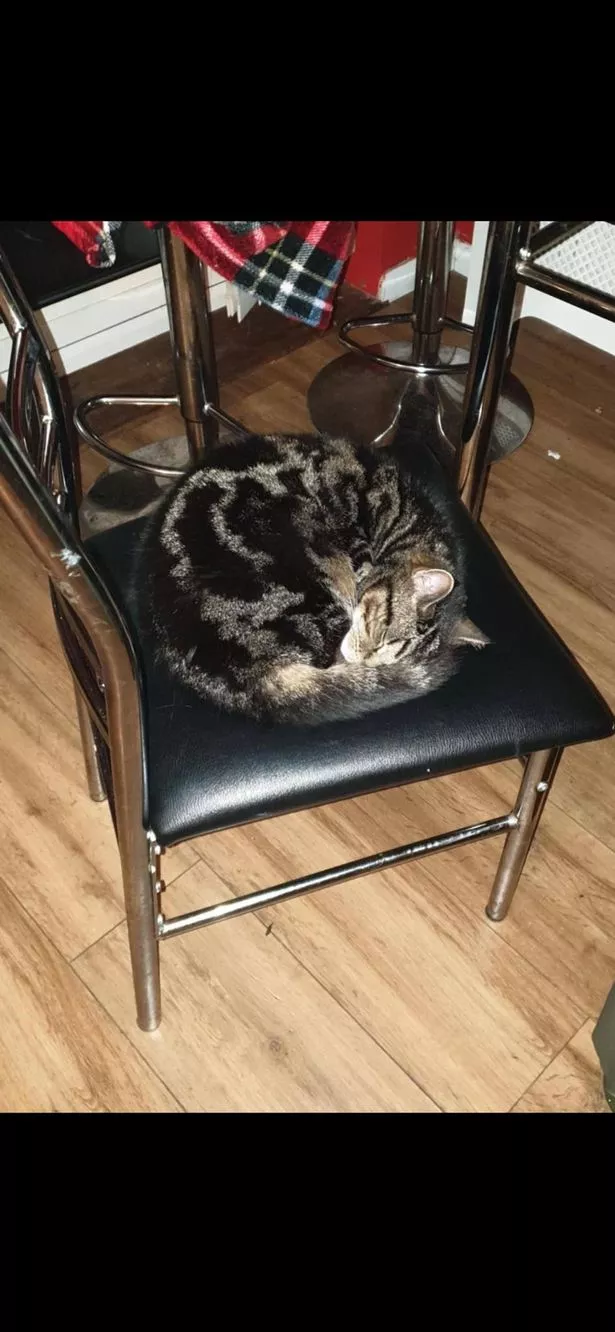 Whiskey was 15 years old.