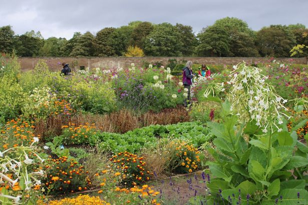 Amisfield Walled Garden