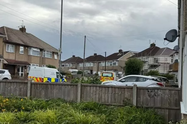 Police vehicles in Bromley Heath after animal remains were found