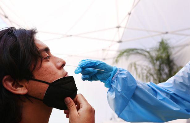 A registered nurse administers a COVID-19 test to a person 