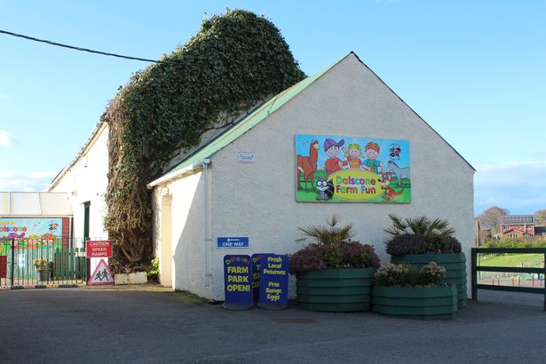 Dalscone Farm Fun