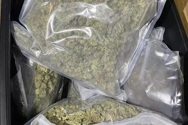 Bags of cannabis similar to this were found in an attic