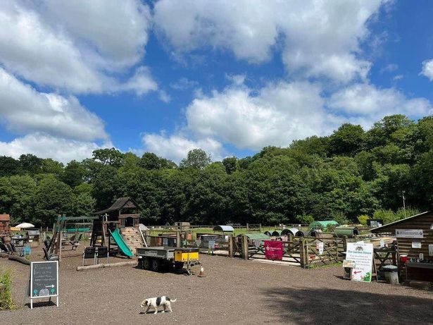 The Garden House in Marple is a social farm and community garden