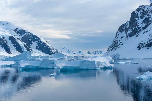 Antartica