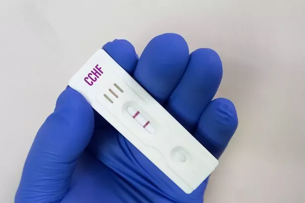 Crimean-Congo haemorrhagic fever (CCHF) has been found in Spain