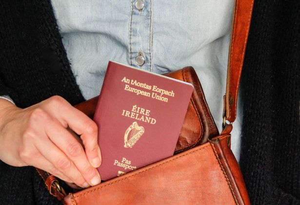 Irish passport (stock)