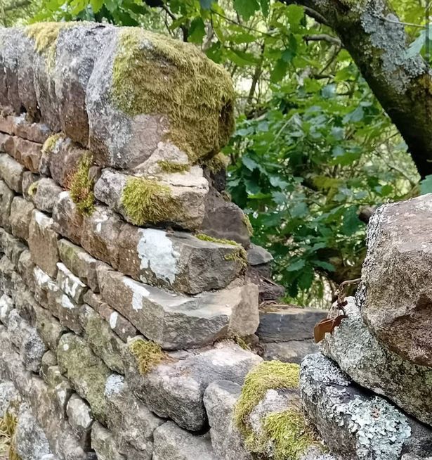 Broken wall at Agden