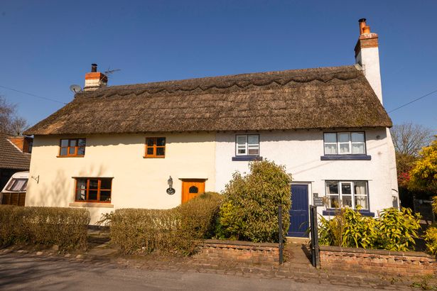 There are several cottages with thatched roofs 