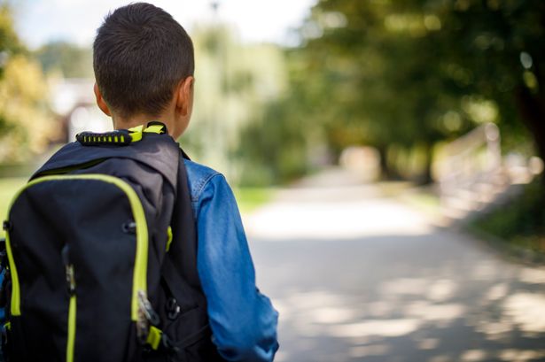 An image of a dark-haired boy with his back to the camera, wearing a denim shirt and carrying a black and yellow backpack.