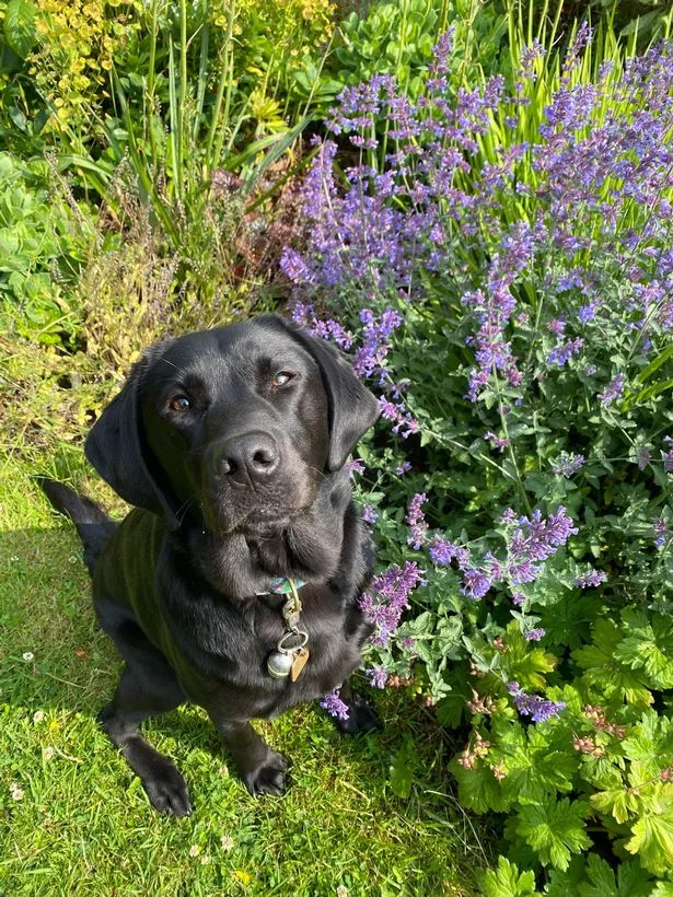 Jennie says having Brandy has been 'life-changing'