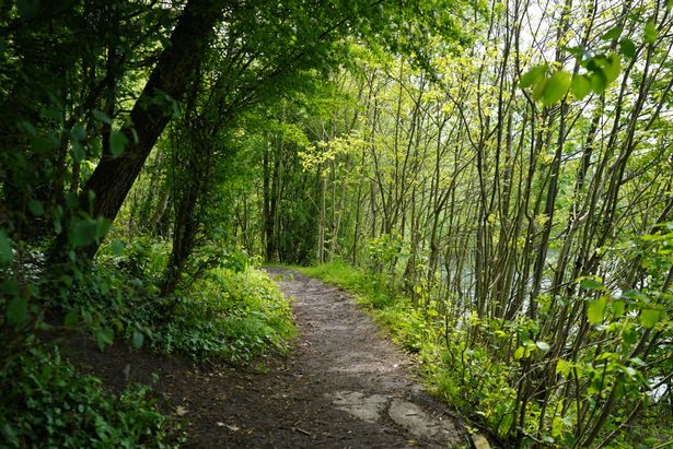 Hidden trails at Debdale park, Gorton