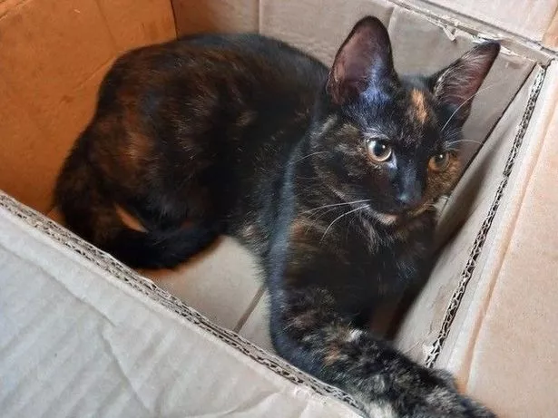 Luna has made a full recovery