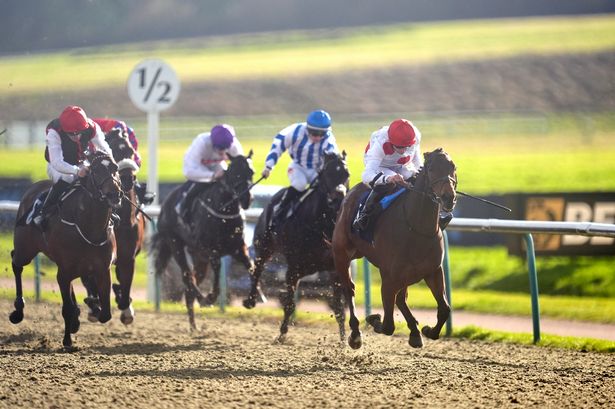 So Darn Hot runs in the 7.15 at Windsor and is Jason Heavey's best bet of the day