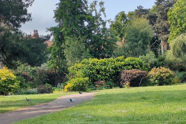 Page Park Sensory Garden in Staple Hill near Bristol