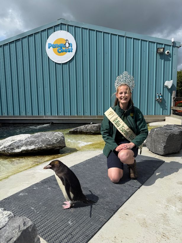 A picture of a zookeeper and a penguin