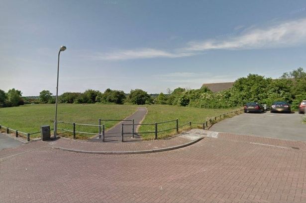 Streetview of large green area