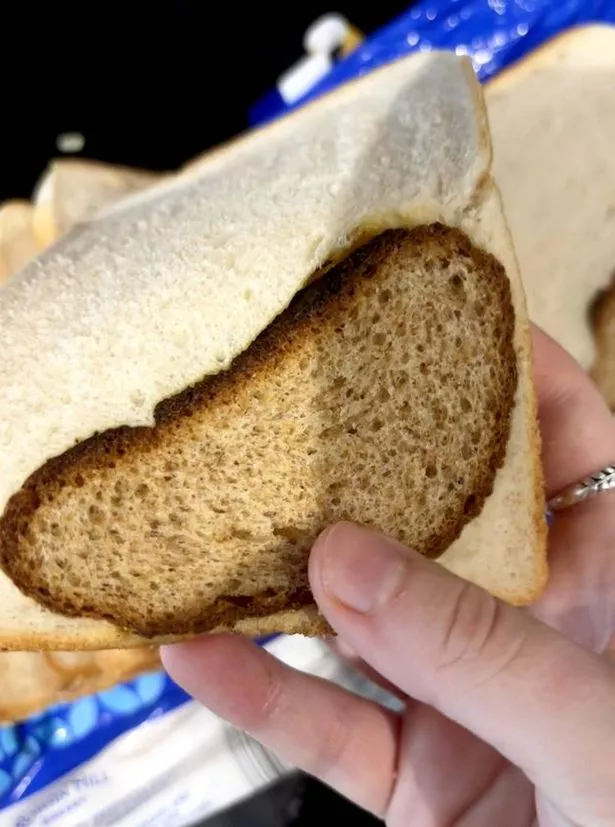 Charlotte Hobbs, 22, was making herself a sandwich when she realised part of her white loaf had been spliced with a brown one