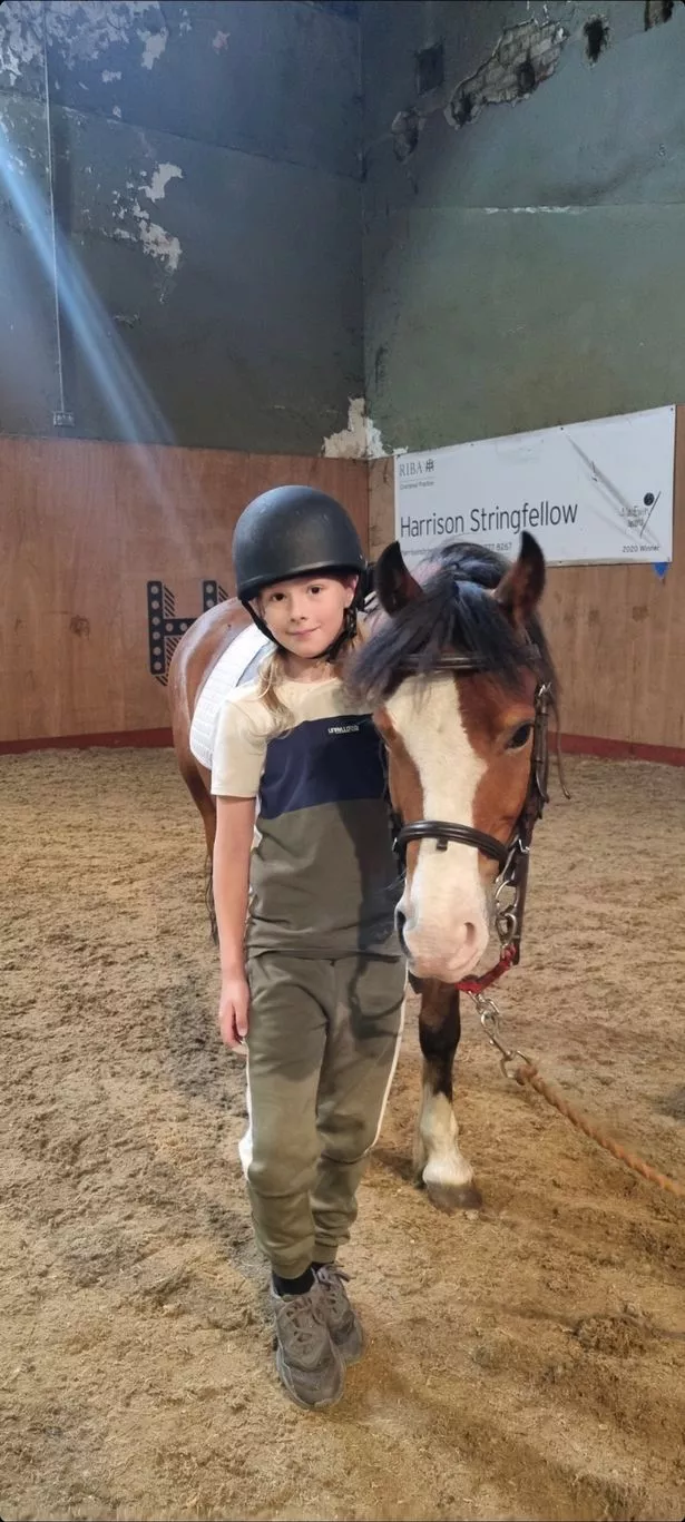 Alex at Park Palace Ponies stables