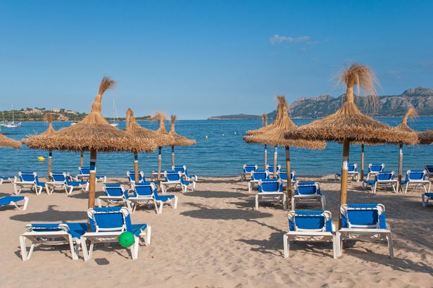 Pollensa beach with sunbeds & raffia parasols facing the Mediterranean sea in bright sunlight under a blue sky with a few white clouds in autumn, Pollensa Bay, Mallorca, Balearic Islands, Spain, Europe.