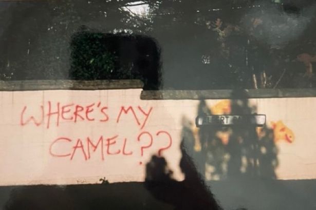 The original Where's My Camel artwork on Albert Park, taken in May 1998