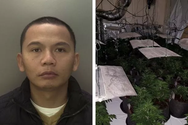Police custody image of cannabis farm mastermind Roman Le from Essex Street in Birmingham and the cannabis factory at the former Queen's Head pub in Hockley 