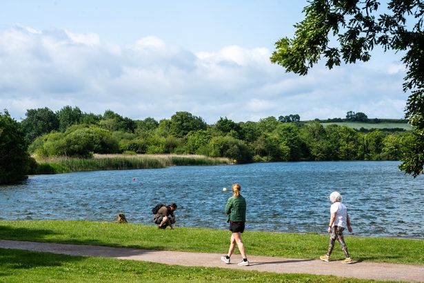 The lake in the sun