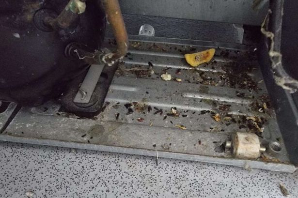 Mouse droppings and food scraps found during a March inspection