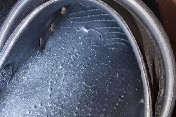 Photo showing a mouse dropping inside a Croc shoe during an April food hygiene inspection of Wirral Change